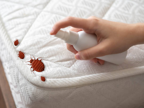 Best Real Estate Pest Inspections  in Moncks Corner, SC